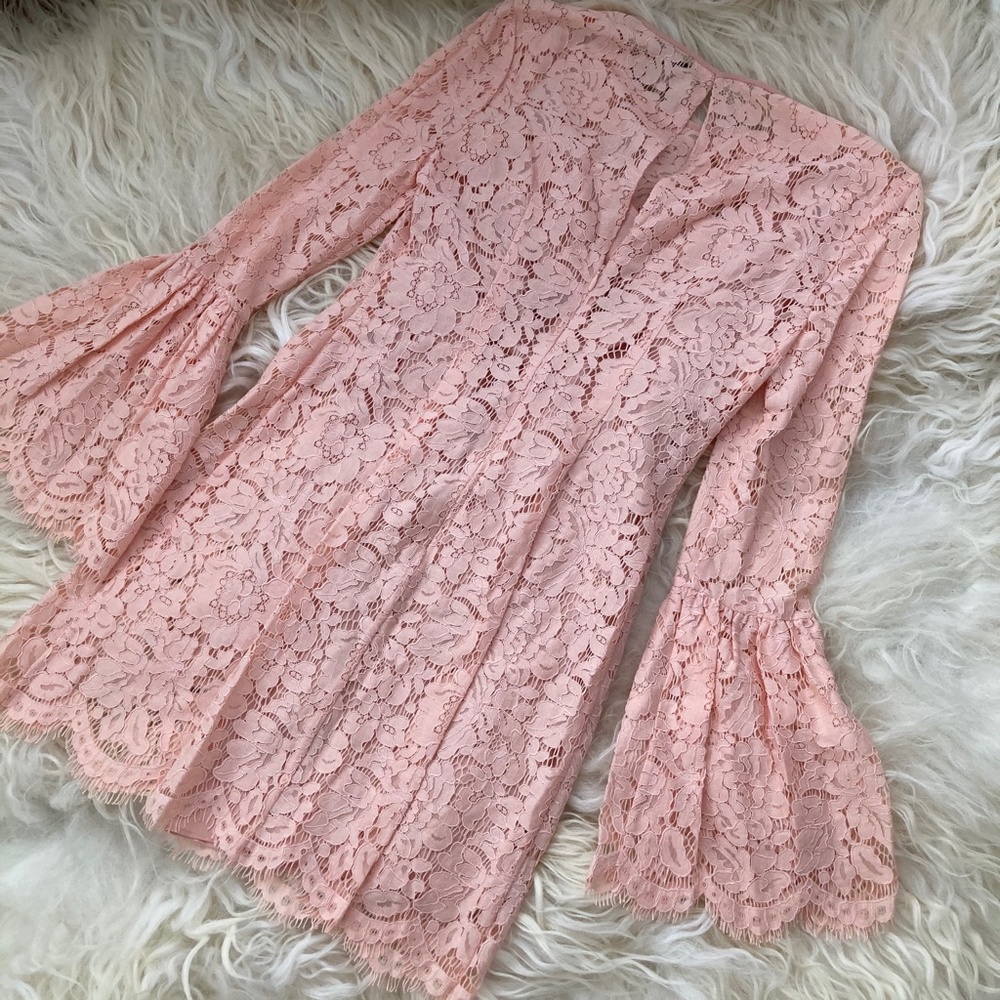 RACHEL ZOE Lace Pattern Mini Dress - Picture 11 of 15